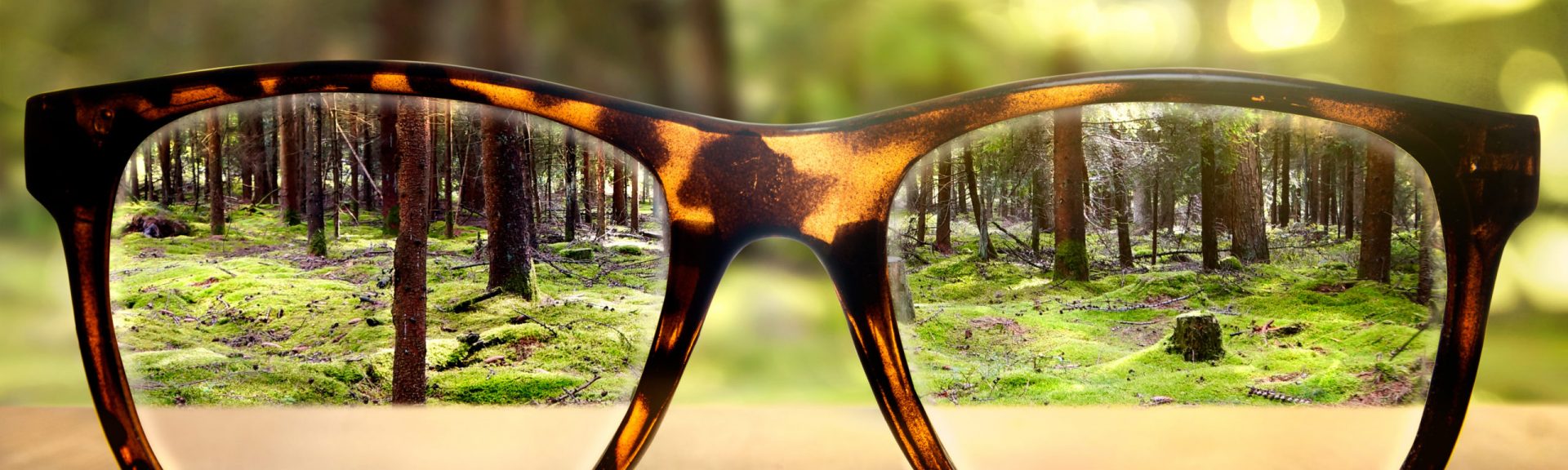 A pair of glasses brings a blurry forest scene into sharp focus through the lenses