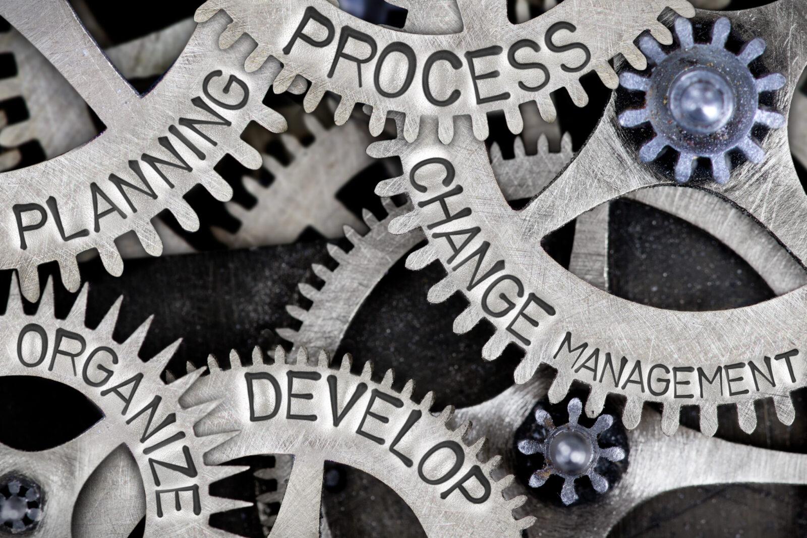 Prozess- und Projektmanagement