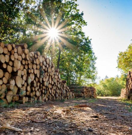 Land- und Forstwirtschafts-Pauschalierungsverordnung