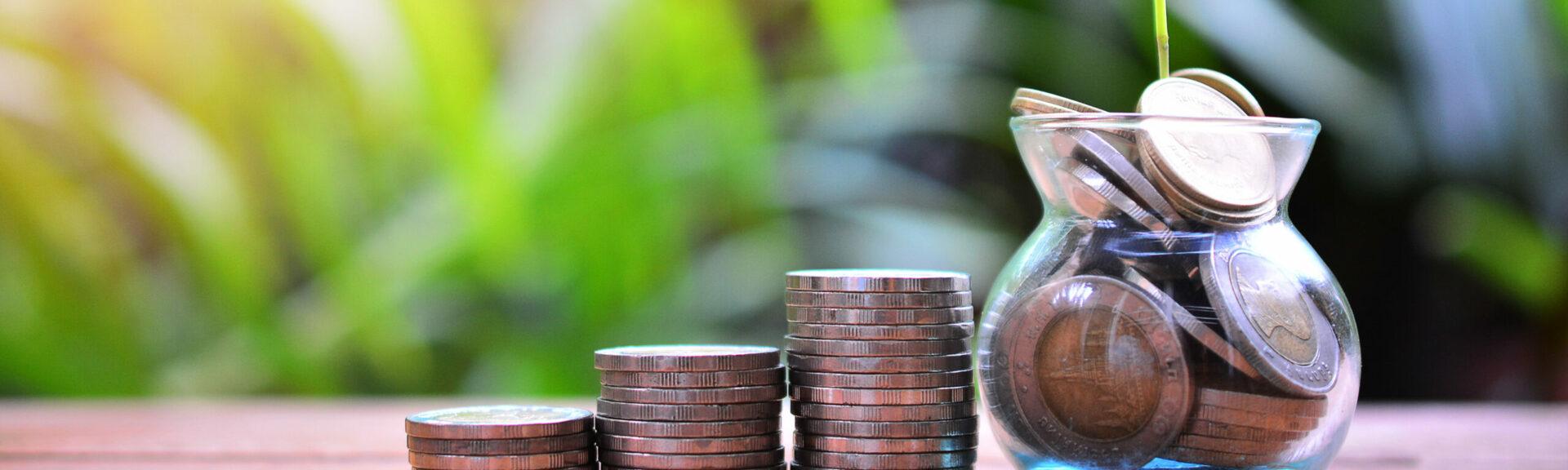 plant money coins saving growth up to profit and investment fund
