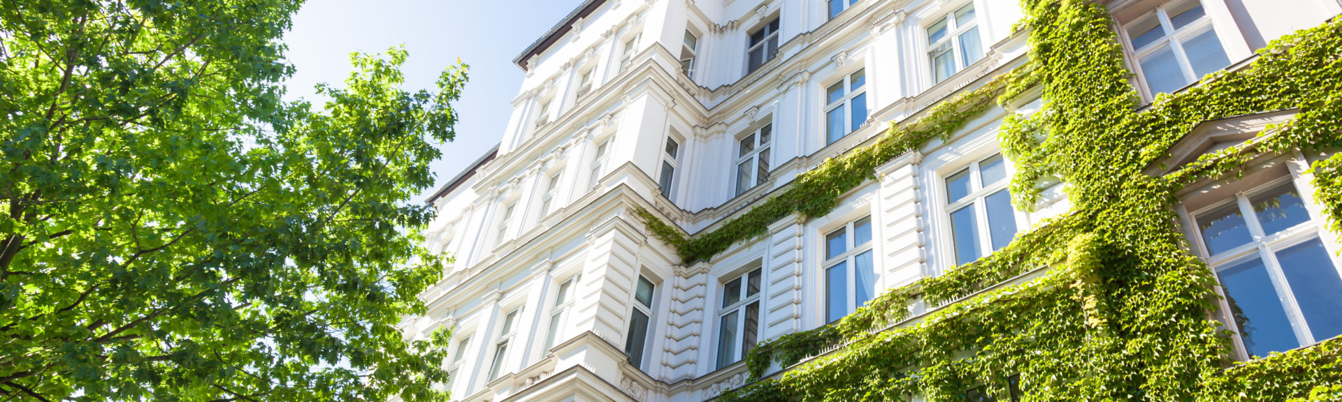Altbau bewachsen mit Pflanzen und Bäume in Deutschland