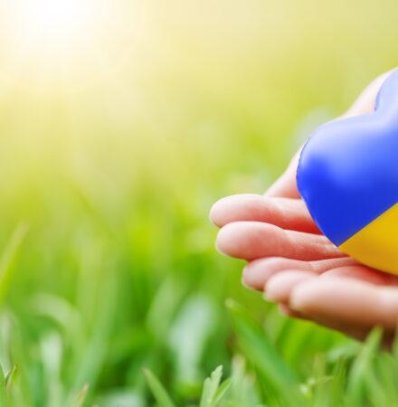 Residence and access to the labor market for Ukrainian refugees