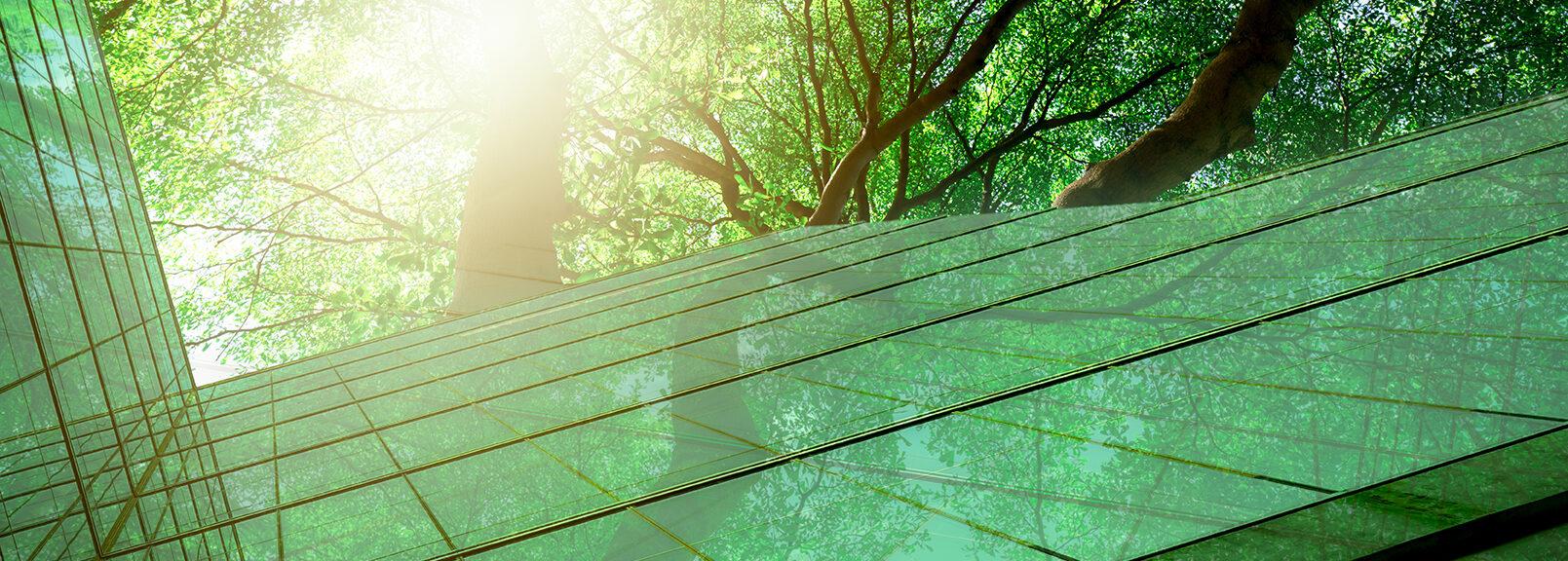 Sonne strahlt durch Bäume auf eine Glasfassade