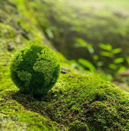 GHG - Was müssen Sie für Ihr Unternehmen berücksichtigen?