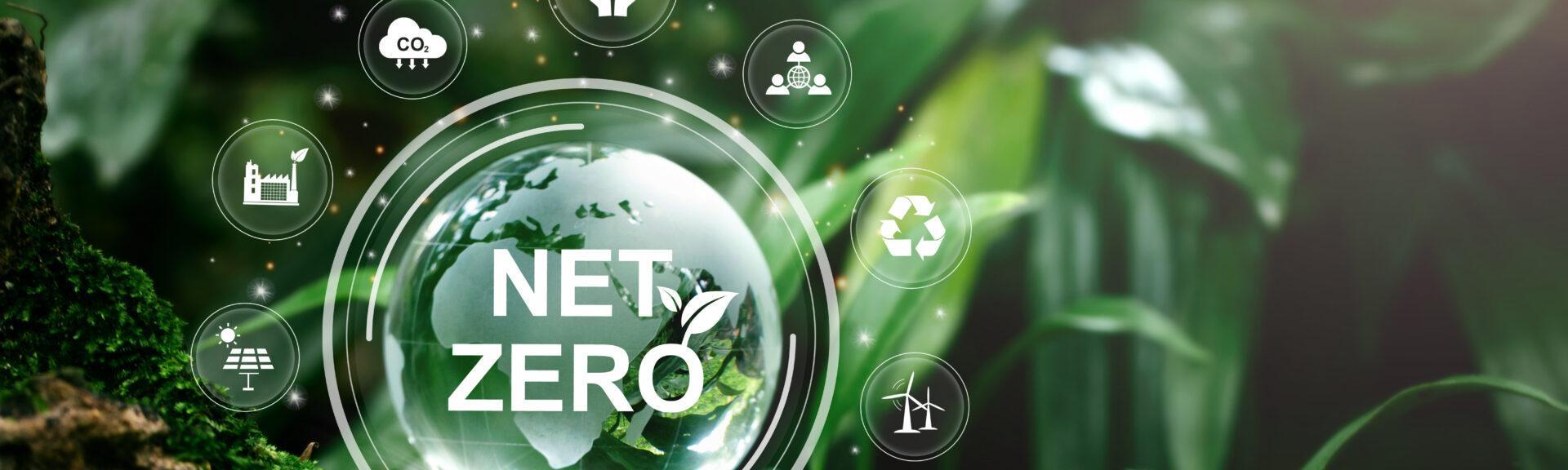 Net zero and carbon neutral concept.Globe Glass with sNet zero icons In Green Forest With Sunlight. net zero greenhouse gas emissions target Climate neutral long term strategy on a green background.