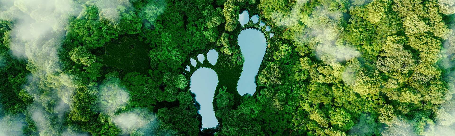 Ökonomischer Fussabdruck als see im Wald wiedergespiegelt