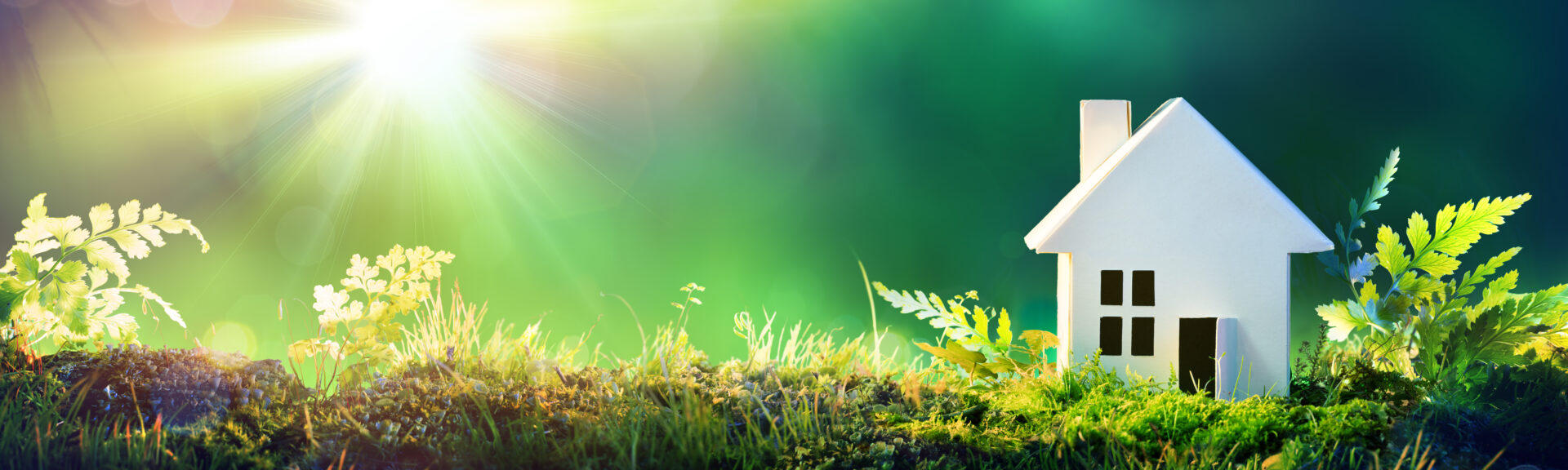 esg - white hous, green natural backround